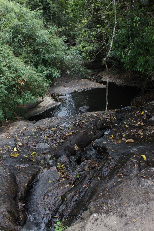 India 2010 - Coorg - Honey Valley - Trek towards Tadiandamol - Homestay to Waterfall